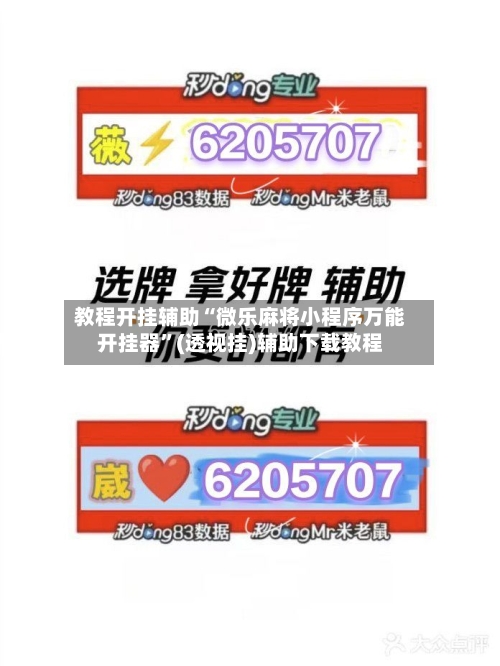 教程开挂辅助“微乐麻将小程序万能开挂器”(透视挂)辅助下载教程-第2张图片