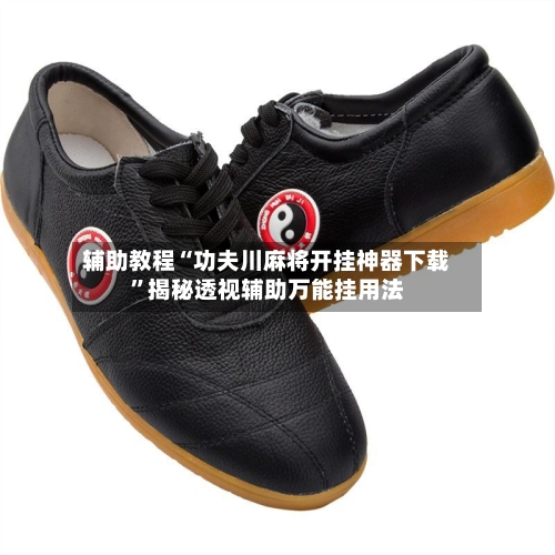 辅助教程“功夫川麻将开挂神器下载”揭秘透视辅助万能挂用法-第3张图片