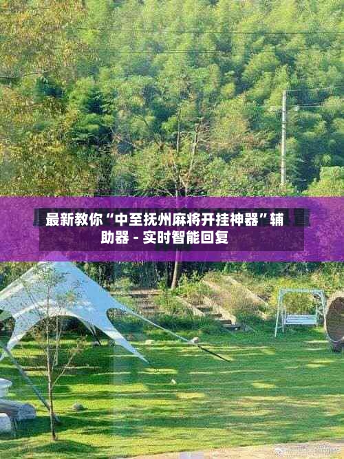 最新教你“中至抚州麻将开挂神器”辅助器 - 实时智能回复-第2张图片