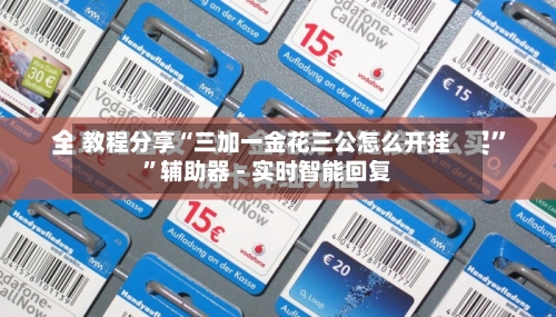 教程分享“三加一金花三公怎么开挂”辅助器 - 实时智能回复-第3张图片