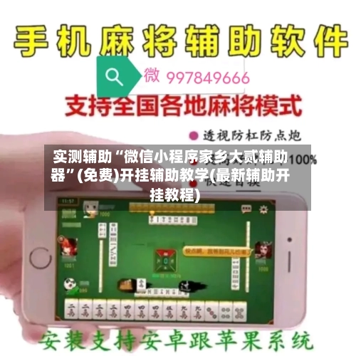 实测辅助“微信小程序家乡大贰辅助器”(免费)开挂辅助教学(最新辅助开挂教程)-第3张图片