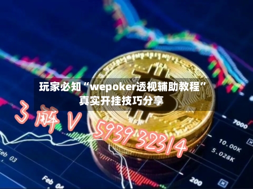 玩家必知“wepoker透视辅助教程”真实开挂技巧分享-第3张图片