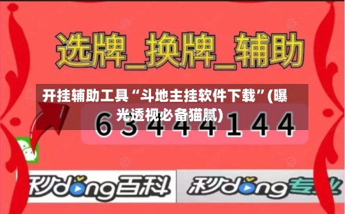 开挂辅助工具“斗地主挂软件下载”(曝光透视必备猫腻)-第2张图片
