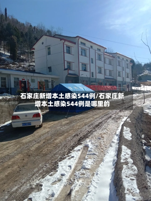 石家庄新增本土感染544例/石家庄新增本土感染544例是哪里的