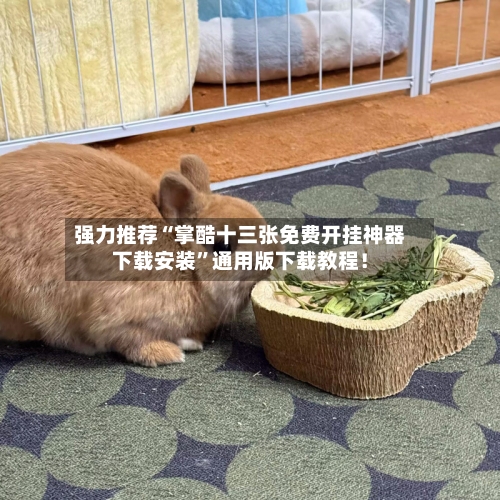 强力推荐“掌酷十三张免费开挂神器下载安装”通用版下载教程！-第3张图片