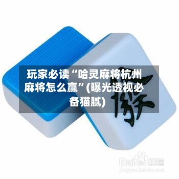 玩家必读“哈灵麻将杭州麻将怎么赢”(曝光透视必备猫腻)