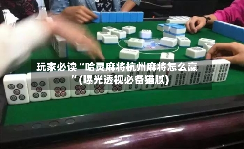 玩家必读“哈灵麻将杭州麻将怎么赢”(曝光透视必备猫腻)-第2张图片