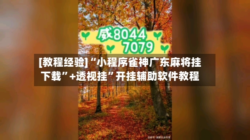 [教程经验]“小程序雀神广东麻将挂下载	”+透视挂”开挂辅助软件教程-第2张图片