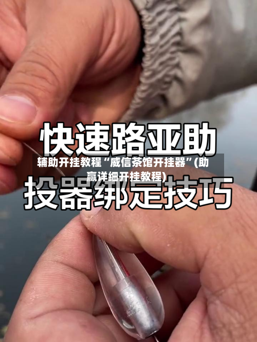 辅助开挂教程“威信茶馆开挂器	”(助赢详细开挂教程)-第2张图片