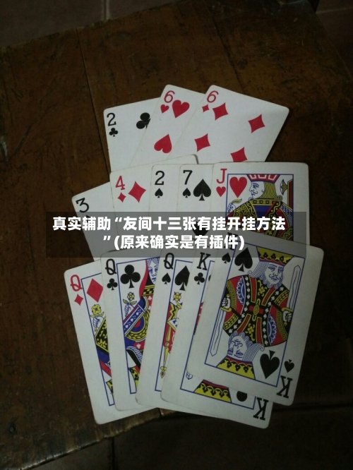 真实辅助“友间十三张有挂开挂方法”(原来确实是有插件)-第2张图片