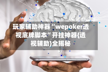 玩家辅助神器“wepoker透视底牌脚本”开挂神器{透视辅助}全揭秘-第3张图片