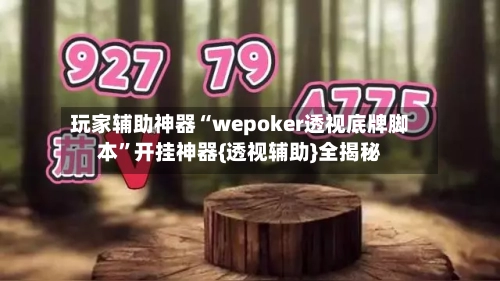 玩家辅助神器“wepoker透视底牌脚本	”开挂神器{透视辅助}全揭秘-第2张图片