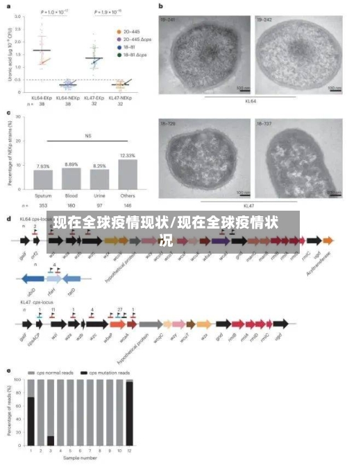 现在全球疫情现状/现在全球疫情状况-第3张图片