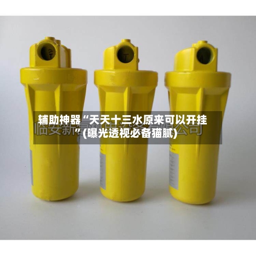 辅助神器“天天十三水原来可以开挂”(曝光透视必备猫腻)