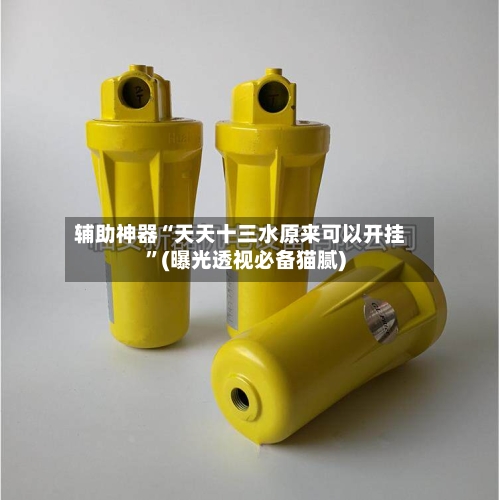 辅助神器“天天十三水原来可以开挂	”(曝光透视必备猫腻)-第2张图片