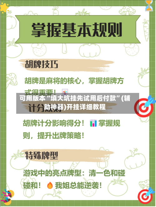 可用版本“填大坑挂先试用后付款”(辅助神器)开挂详细教程-第3张图片