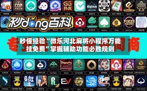 秒懂经验“微乐河北麻将小程序万能挂免费”掌握辅助功能必胜规则-第2张图片