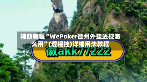 辅助教程“WePoker德州外挂透视怎么用”(透视挂)详细用法教程-第2张图片