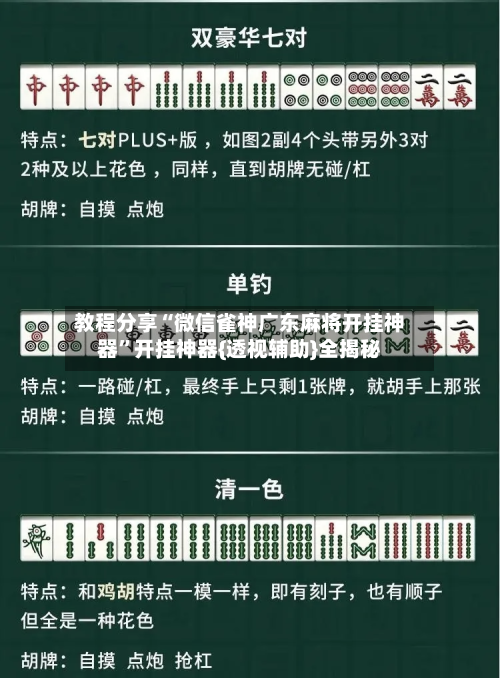 教程分享“微信雀神广东麻将开挂神器”开挂神器{透视辅助}全揭秘-第2张图片