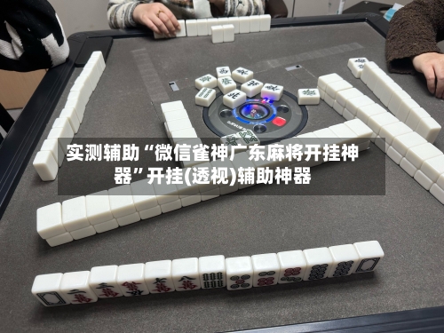 实测辅助“微信雀神广东麻将开挂神器”开挂(透视)辅助神器-第2张图片