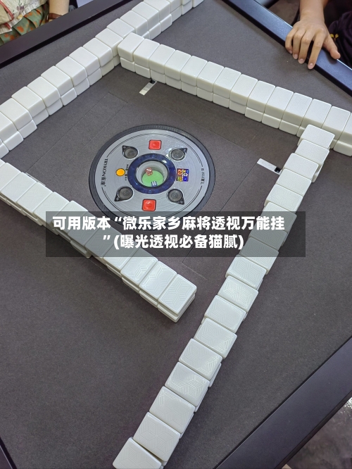 可用版本“微乐家乡麻将透视万能挂”(曝光透视必备猫腻)-第2张图片
