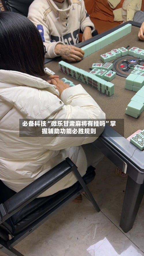 必备科技“微乐甘肃麻将有挂吗”掌握辅助功能必胜规则-第2张图片