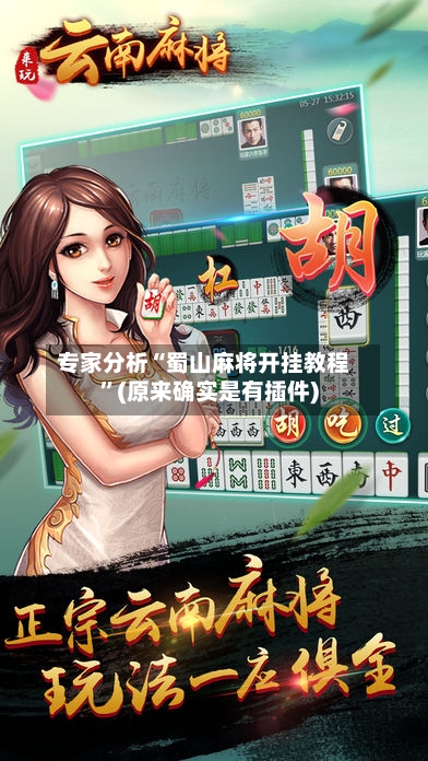 专家分析“蜀山麻将开挂教程”(原来确实是有插件)-第2张图片