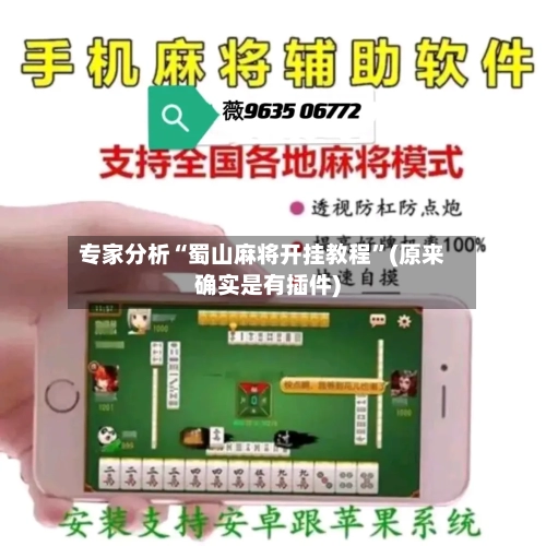 专家分析“蜀山麻将开挂教程”(原来确实是有插件)