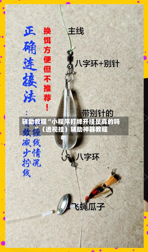 辅助教程“小程序打牌开挂是真的吗”（透视挂）辅助神器教程-第2张图片