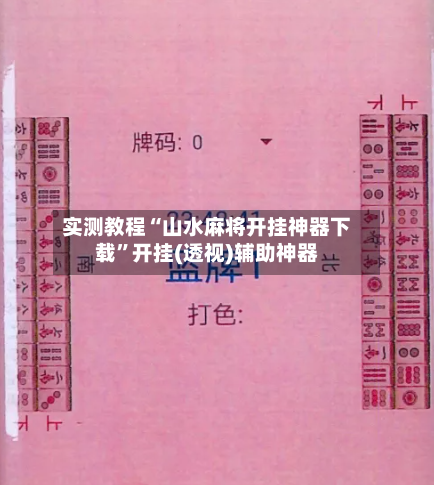 实测教程“山水麻将开挂神器下载”开挂(透视)辅助神器-第3张图片