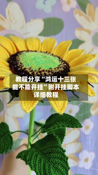 教程分享“鸿运十三张能不能开挂	”附开挂脚本详细教程-第2张图片