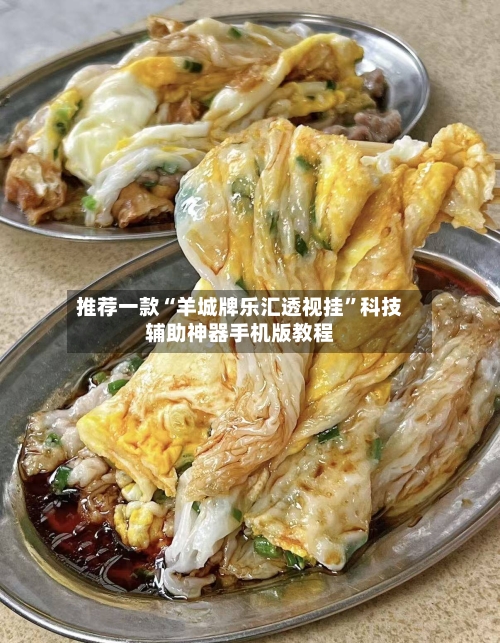 推荐一款“羊城牌乐汇透视挂”科技辅助神器手机版教程-第3张图片