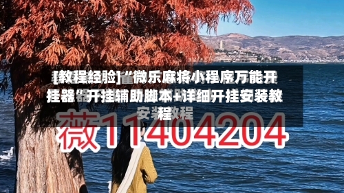 [教程经验]“微乐麻将小程序万能开挂器	”开挂辅助脚本+详细开挂安装教程-第2张图片