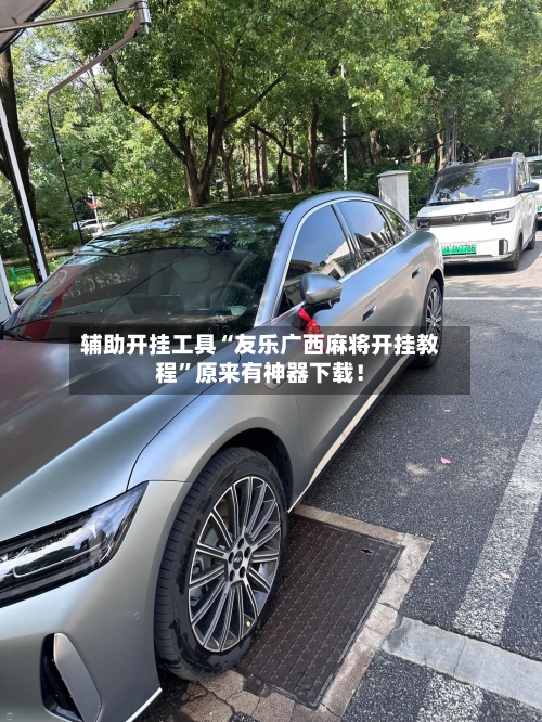 辅助开挂工具“友乐广西麻将开挂教程”原来有神器下载！