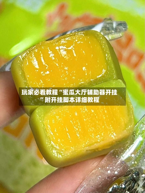 玩家必看教程“蜜瓜大厅辅助器开挂	”附开挂脚本详细教程-第2张图片