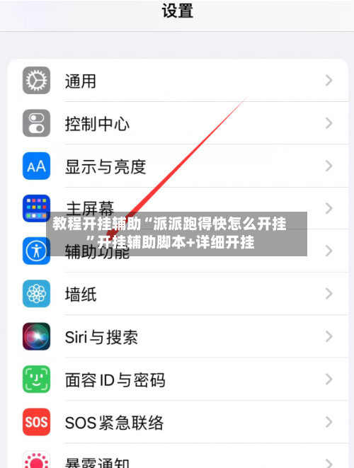 教程开挂辅助“派派跑得快怎么开挂”开挂辅助脚本+详细开挂-第2张图片