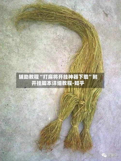 辅助教程“打麻将开挂神器下载”附开挂脚本详细教程-知乎-第2张图片