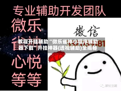 教程开挂辅助“微乐雀神小程序辅助器下载	”开挂神器{透视辅助}全揭秘-第2张图片