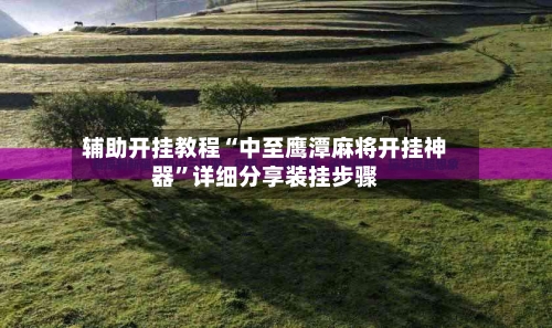 辅助开挂教程“中至鹰潭麻将开挂神器	”详细分享装挂步骤-第3张图片