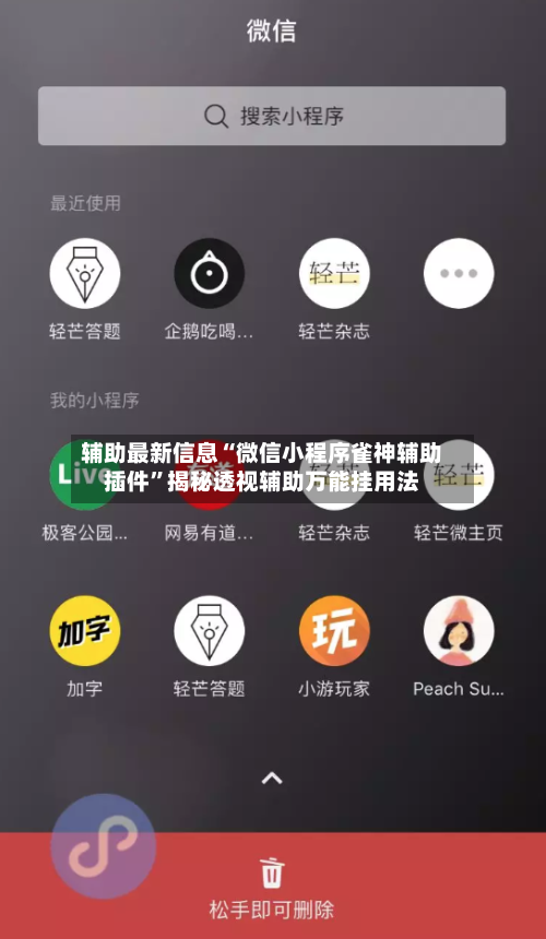 辅助最新信息“微信小程序雀神辅助插件”揭秘透视辅助万能挂用法-第2张图片