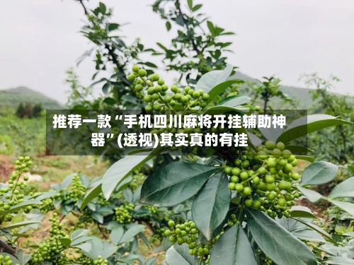 推荐一款“手机四川麻将开挂辅助神器”(透视)其实真的有挂-第3张图片