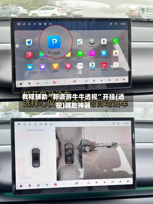 教程辅助“新道游牛牛透视	”开挂(透视)辅助神器-第2张图片