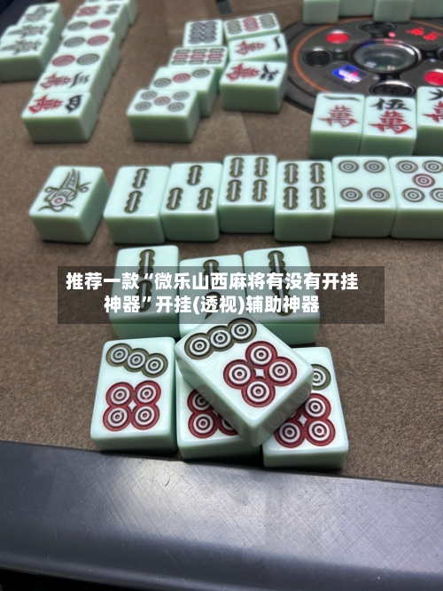 推荐一款“微乐山西麻将有没有开挂神器”开挂(透视)辅助神器-第3张图片