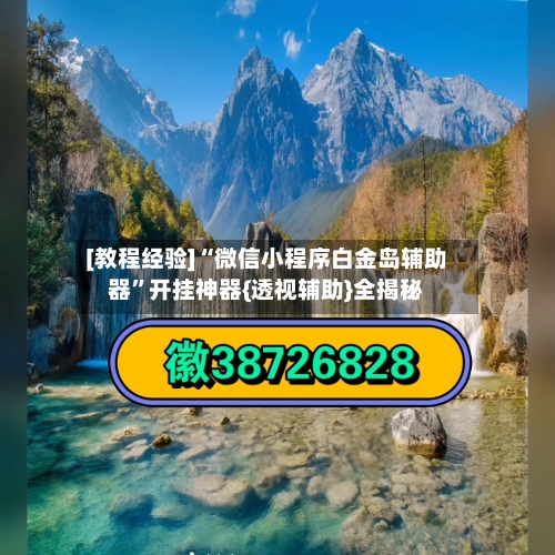 [教程经验]“微信小程序白金岛辅助器”开挂神器{透视辅助}全揭秘-第3张图片