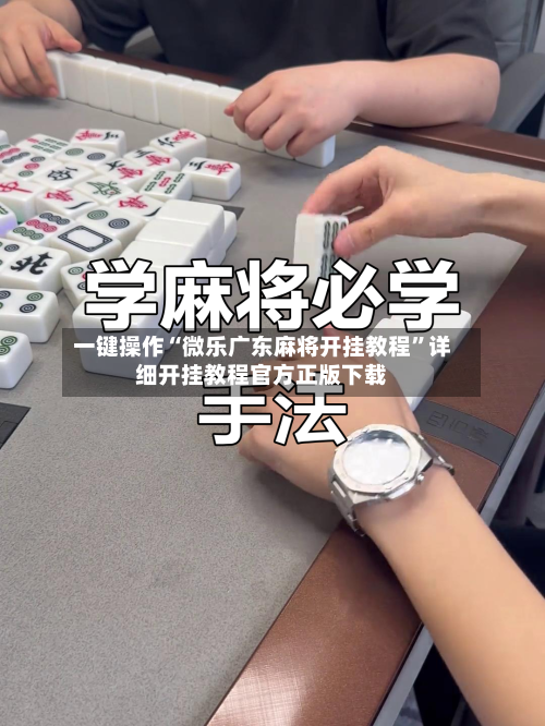 一键操作“微乐广东麻将开挂教程	”详细开挂教程官方正版下载-第2张图片