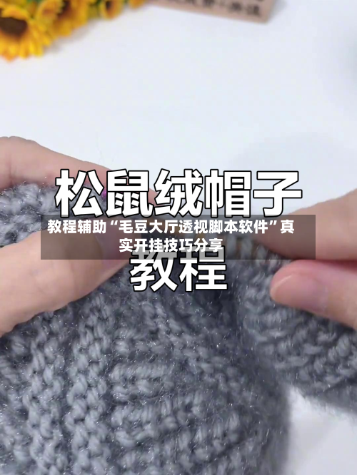 教程辅助“毛豆大厅透视脚本软件”真实开挂技巧分享-第2张图片