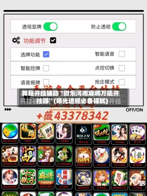 教程开挂辅助“微乐河南麻将万能开挂器”(曝光透视必备猫腻)-第2张图片