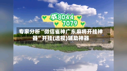 专家分析“微信雀神广东麻将开挂神器”开挂(透视)辅助神器-第2张图片