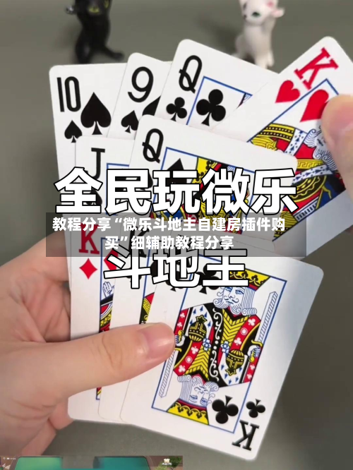 教程分享“微乐斗地主自建房插件购买”细辅助教程分享-第2张图片