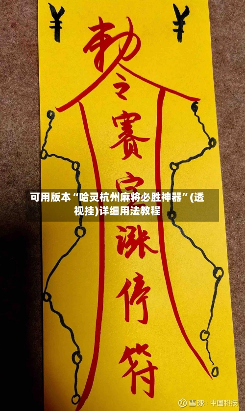 可用版本“哈灵杭州麻将必胜神器”(透视挂)详细用法教程-第3张图片